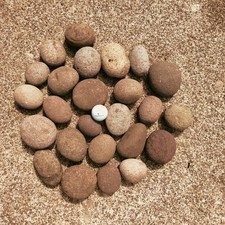 Prehistoric paleo american for sale  Gresham