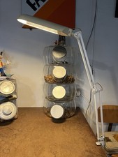 Lampada tavolo morsetto usato  Bagno a Ripoli
