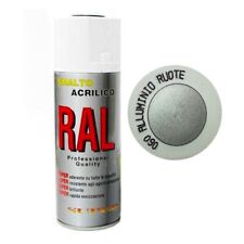 Vernice bomboletta spray usato  Rende