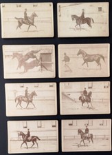 Militaria. saumur. dressage. d'occasion  Sarlat-la-Canéda