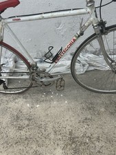 Bicicletta corsa bottecchia usato  Vestenanova