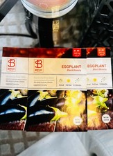 Packets eggplant black for sale  Verona