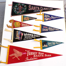 Group pennants dog for sale  South Bend