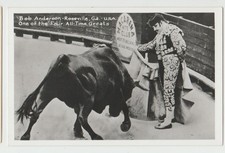 Rppc matador bull for sale  Willow Street