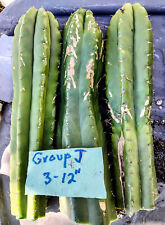 Lot andes peru for sale  San Pedro