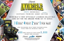 2025 keepsake invincible for sale  Dows
