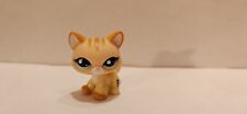 Petshop chat maine d'occasion  Le Luc