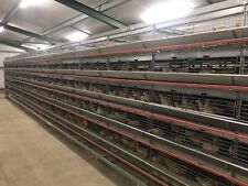 Quail breeding cages for sale  FAKENHAM
