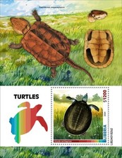 2025 liberia turtles d'occasion  Brunoy