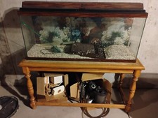 55 gallon glass aquarium for sale 55 gallon glass aquarium for sale Broomfield