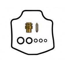 Carburetor repair kit for sale  BRIGHTON