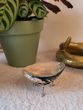 Abalone shell base d'occasion  Expédié en Belgium