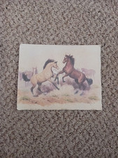 1981 frisky horses for sale  Lexington