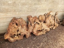 Legno wood ulivo usato  Conversano