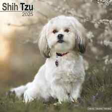 Calendrier 2025 shih d'occasion  Troyes