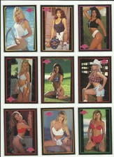 1994 bench warmer for sale  Lonoke