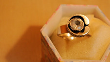 Ring sten laine gebraucht kaufen  Frankfurt am Main