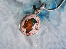 Superfarben mexikanischer feue gebraucht kaufen Superfarben mexikanischer feue gebraucht kaufen  Schweitenkirchen