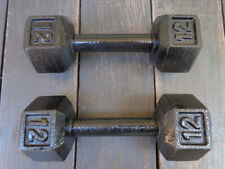 Pair lb. dumbbells for sale  Austin