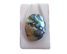Paua muschel abalone gebraucht kaufen  Ering