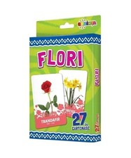 Flori de kartonase gebraucht kaufen  Trebbin