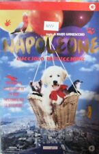 Napoleone cucciolo pasticcione usato  Poirino