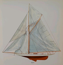 International america cup for sale  Sahuarita