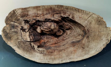 Burl wood for sale  Onalaska