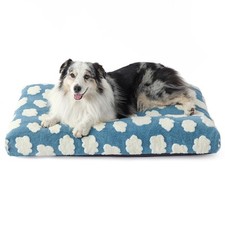 Lesure xlarge dog for sale  Eugene