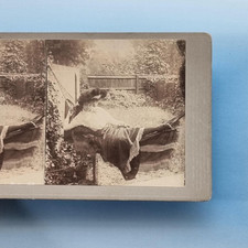 Victorian risque stereoview for sale  TELFORD