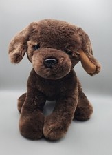 Brown puppy dog for sale  West Townsend