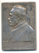 Médaille plaquette louis d'occasion  Le Pradet