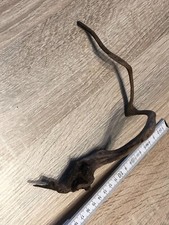 Aquarium deko wurzel gebraucht kaufen  Lauchringen