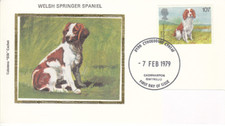 Dogs welsh springer for sale  SOUTHALL