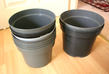 Garden pots plant for sale  MARLOW