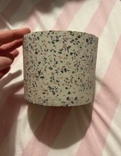 Indoor house plant for sale  NORWICH