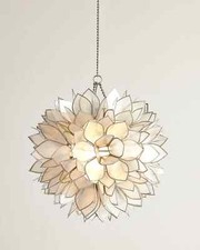 Flower burst light for sale  Valparaiso
