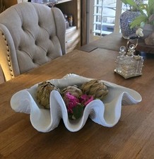 Large giant clam for sale  Litchfield Park