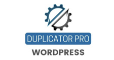 Duplicator pro soluzione usato  Spedire a Italy