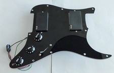 Customs pickguard loaded gebraucht kaufen  Lauffen