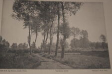 Douai lunette morel d'occasion  Hénin-Beaumont