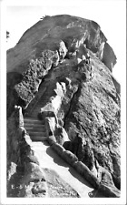 Sequoia national park for sale  Galion
