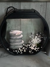Fish fun round for sale  COWDENBEATH