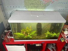 100 litre fish for sale  WEST WICKHAM