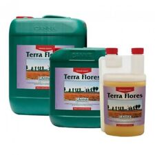 Canna terra flores usato  Lendinara