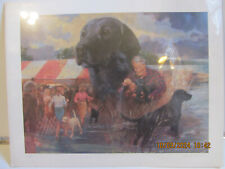 Black labrador hunting for sale  Shirley