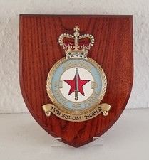 Raf squadron crest for sale  LITTLEHAMPTON