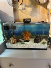 Gallon rimless aquarium for sale  Maywood