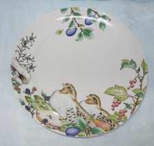 Hutschenreuther tavola country gebraucht kaufen  Buchbach
