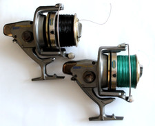 Sänger spirit fish gebraucht kaufen  Rotenburg a. d. Fulda